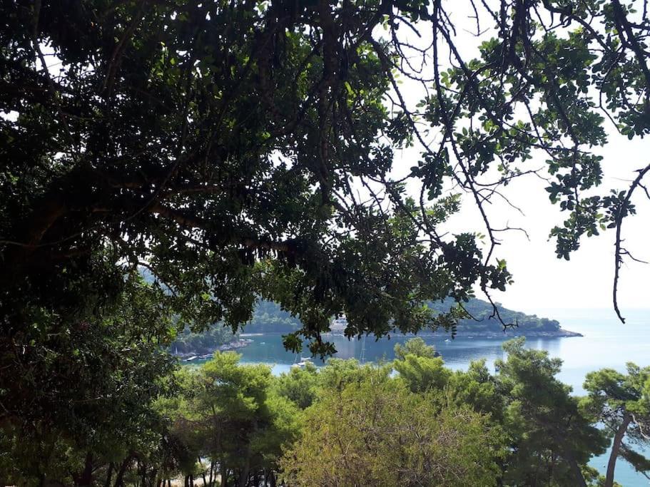 Apartment Kristic - Saplunara, Mljet Babino Polje Dış mekan fotoğraf