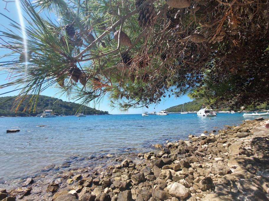 Apartment Kristic - Saplunara, Mljet Babino Polje Dış mekan fotoğraf