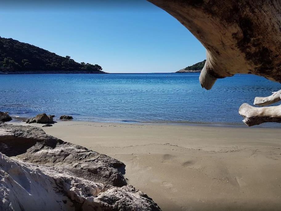 Apartment Kristic - Saplunara, Mljet Babino Polje Dış mekan fotoğraf