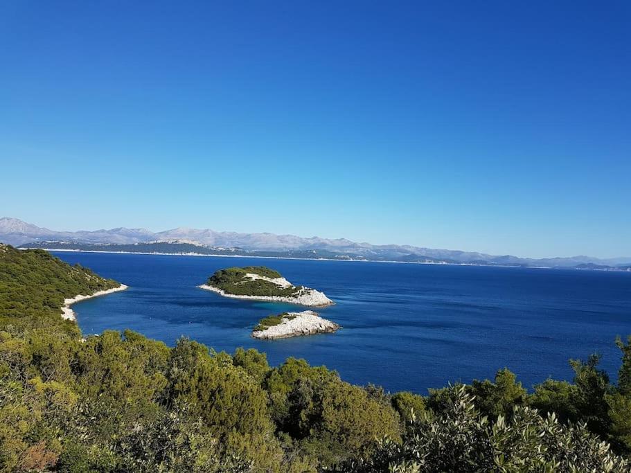 Apartment Kristic - Saplunara, Mljet Babino Polje Dış mekan fotoğraf