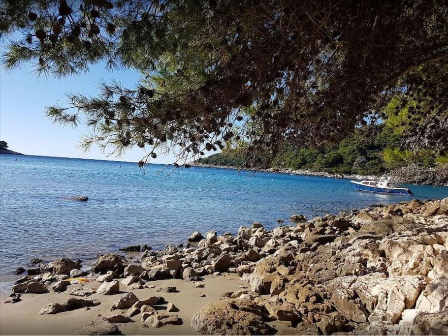 Apartment Kristic - Saplunara, Mljet Babino Polje Dış mekan fotoğraf