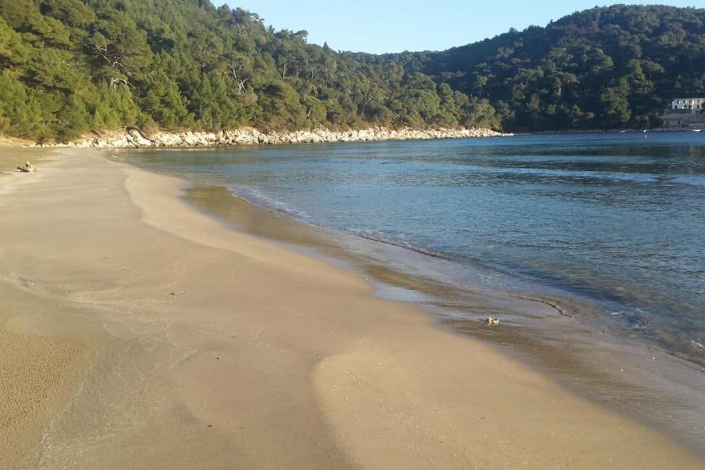 Apartment Kristic - Saplunara, Mljet Babino Polje Dış mekan fotoğraf