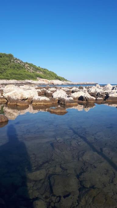 Apartment Kristic - Saplunara, Mljet Babino Polje Dış mekan fotoğraf
