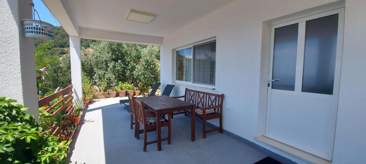 Apartment Kristic - Saplunara, Mljet Babino Polje Dış mekan fotoğraf